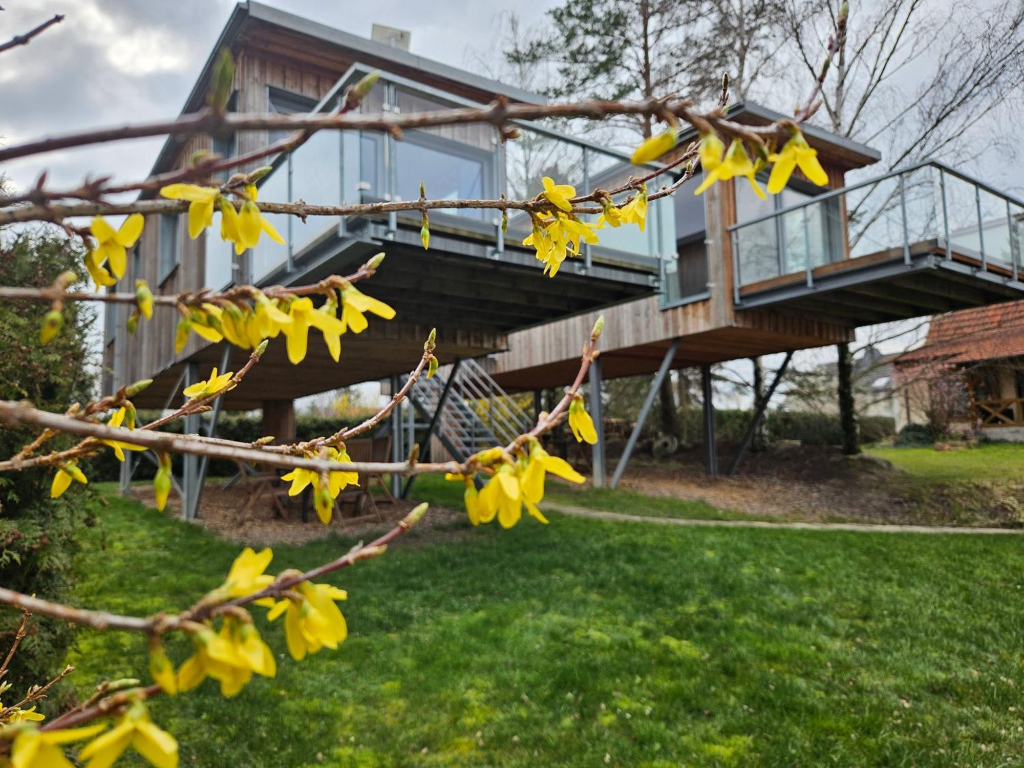 Villa Baumhaus Und Tinyhaus Mühlhausen Exterior foto